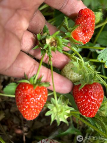 1013 233rd Place NE, Sammamish, WA 98074