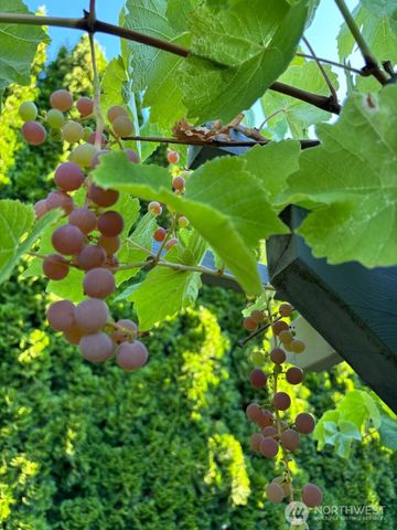 1013 233rd Place NE, Sammamish, WA 98074