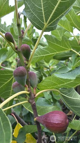 1013 233rd Place NE, Sammamish, WA 98074