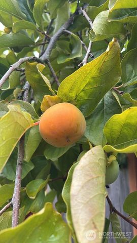 1013 233rd Place NE, Sammamish, WA 98074