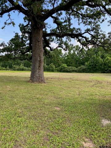 7900 N US Hwy 287, Tennessee Colony, TX 75861