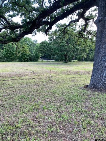 7900 N US Hwy 287, Tennessee Colony, TX 75861