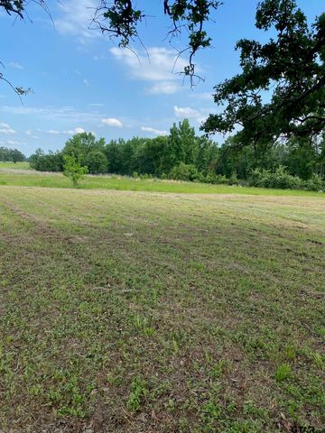 7900 N US Hwy 287, Tennessee Colony, TX 75861