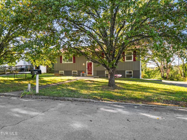115 Cedar Street, Greeneville, TN 37743