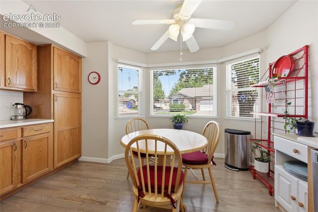 3932 Coral Point, Colorado Springs, CO 80917