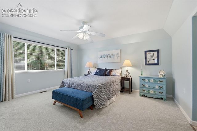 3932 Coral Point, Colorado Springs, CO 80917