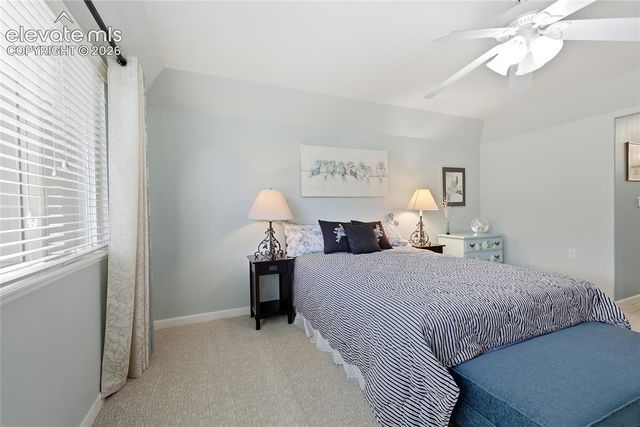 3932 Coral Point, Colorado Springs, CO 80917