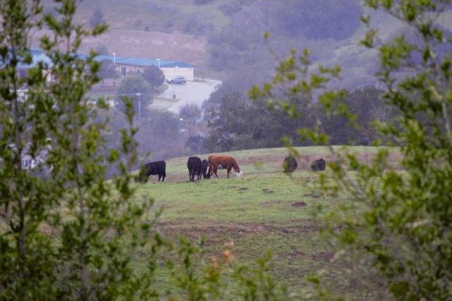 435 Tabor Drive, Scotts Valley, CA 95066