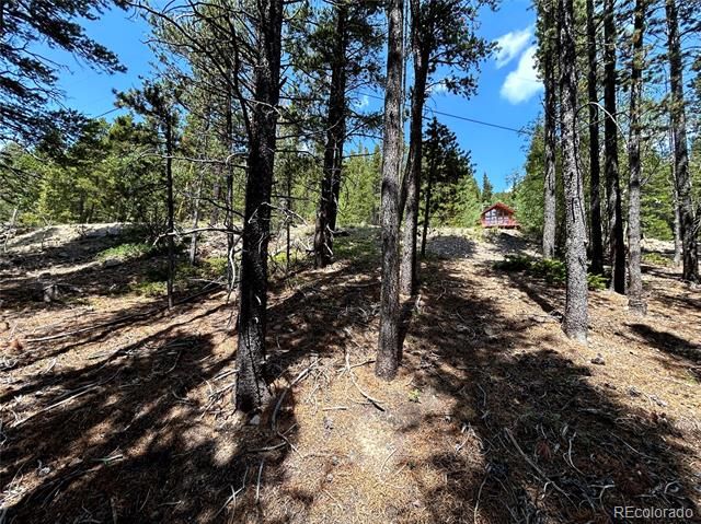 230 Harris Drive, Idaho Springs, CO 80452