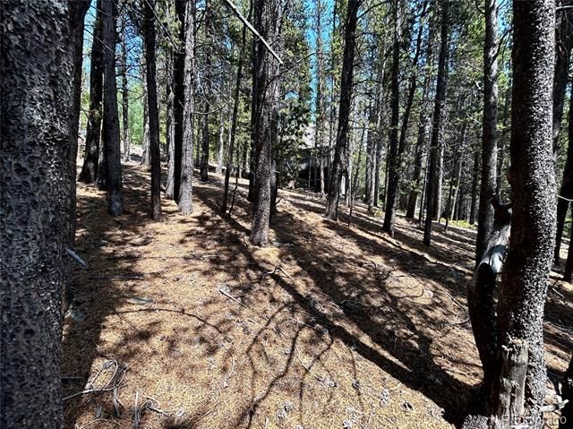 230 Harris Drive, Idaho Springs, CO 80452