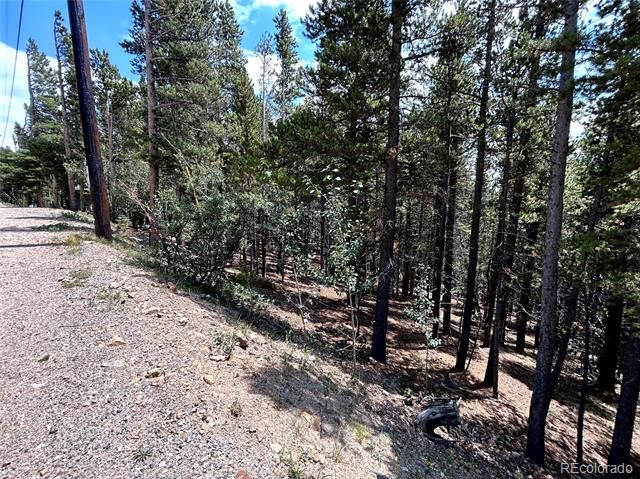 230 Harris Drive, Idaho Springs, CO 80452