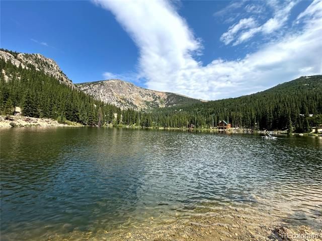 230 Harris Drive, Idaho Springs, CO 80452