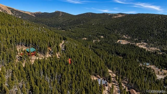 230 Harris Drive, Idaho Springs, CO 80452