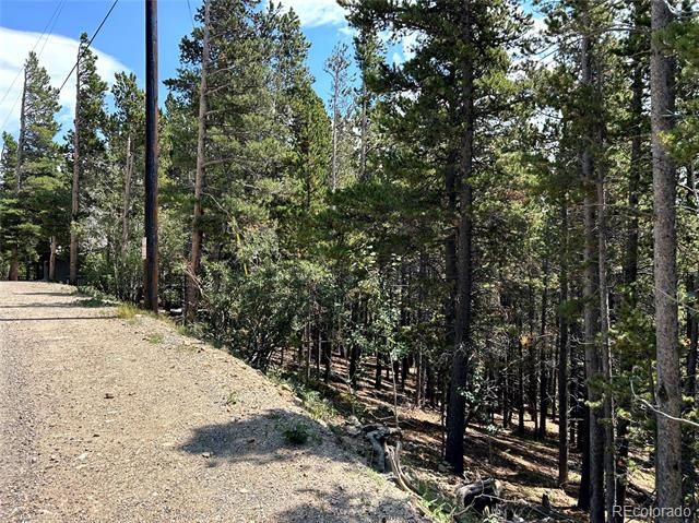 230 Harris Drive, Idaho Springs, CO 80452