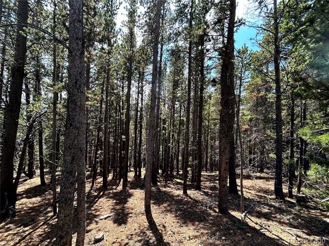 230 Harris Drive, Idaho Springs, CO 80452
