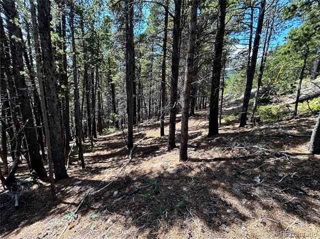 230 Harris Drive, Idaho Springs, CO 80452