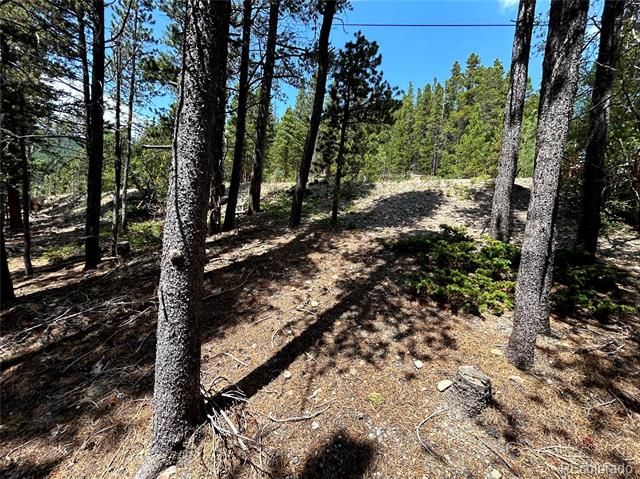 230 Harris Drive, Idaho Springs, CO 80452