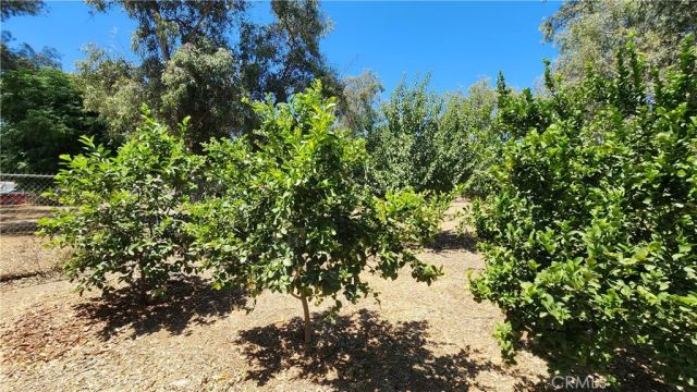 20243 Lee Road, Perris, CA 92570