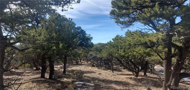 Lot 7274 Barker Road, Fort Garland, CO 81133