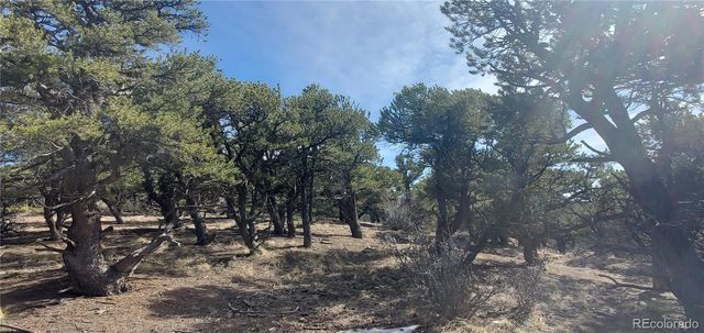Lot 7274 Barker Road, Fort Garland, CO 81133