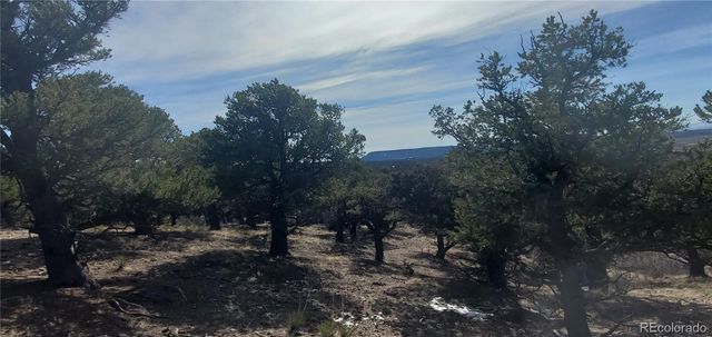 Lot 7274 Barker Road, Fort Garland, CO 81133