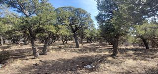 Lot 7274 Barker Road, Fort Garland, CO 81133