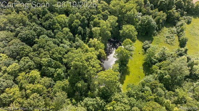 6390 Brookville Road, Salem Township, MI 48178