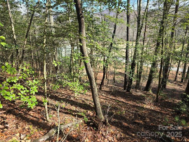 6490 Globe Road, Lenoir, NC 28645