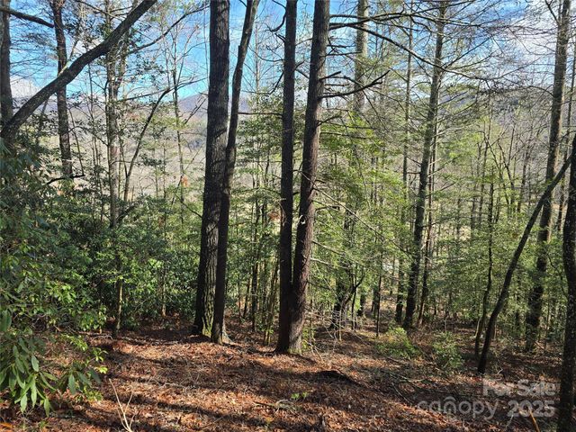 6490 Globe Road, Lenoir, NC 28645