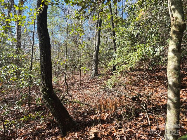 6490 Globe Road, Lenoir, NC 28645