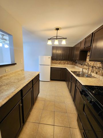 1085 Knoll Lane 207, Hoffman Estates, IL 60194