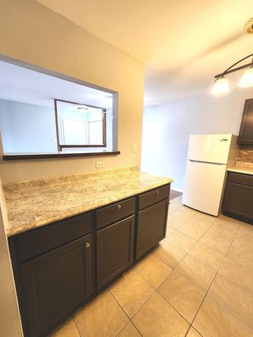 1085 Knoll Lane 207, Hoffman Estates, IL 60194