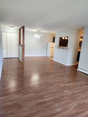 1085 Knoll Lane 207, Hoffman Estates, IL 60194