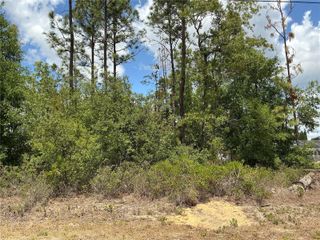 SE 160TH PLACE, Summerfield, FL 34491
