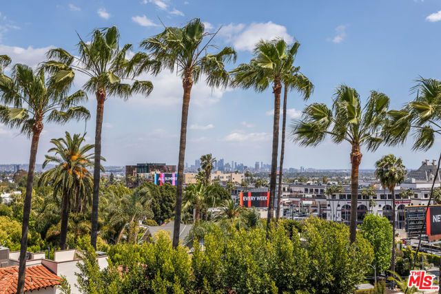 1541 Selma Drive, Los Angeles, CA 90046