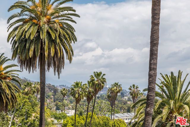 1541 Selma Drive, Los Angeles, CA 90046