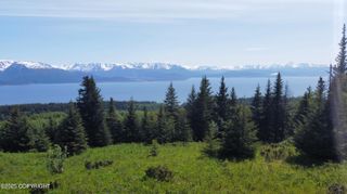 L4 East End Road, Homer, AK 99603