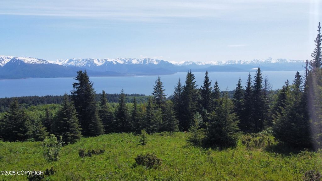 L4 East End Road, Homer, AK 99603
