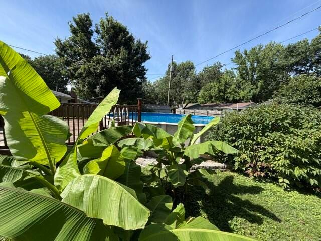 2441 S Westwood Avenue, Springfield, MO 65807