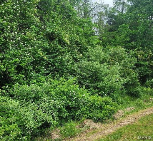 16342 Clayton Road, Wildwood, MO 63011