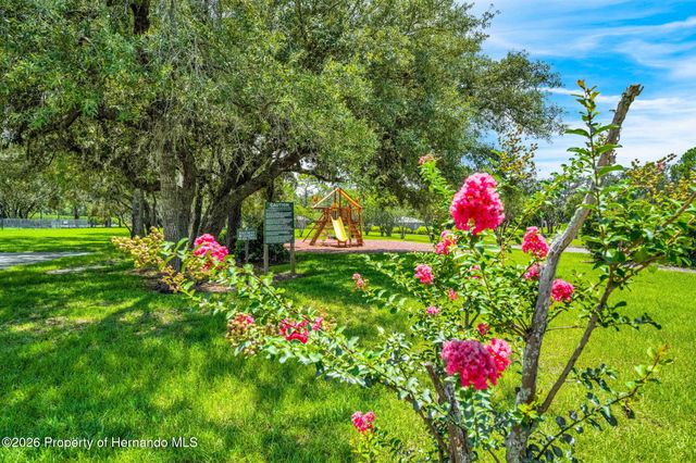 10148 Duffy Circle, Weeki Wachee, FL 34613