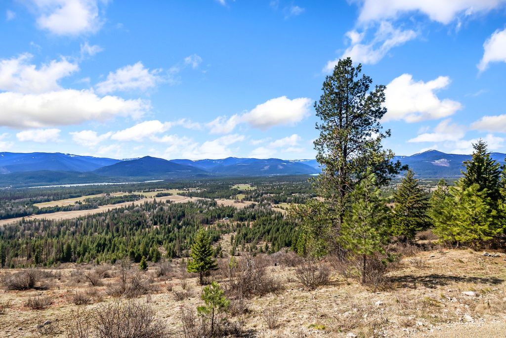 42 Twenty Peak Gulch Road, Trout Creek, MT 59874 photo 24