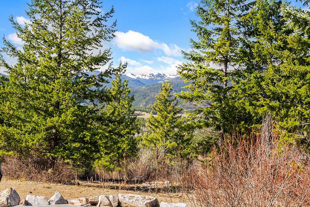 42 Twenty Peak Gulch Road, Trout Creek, MT 59874 photo 60