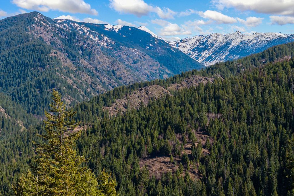 42 Twenty Peak Gulch Road, Trout Creek, MT 59874 photo 71