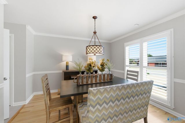 102 Medicine Bend Court, Madison, AL 35758