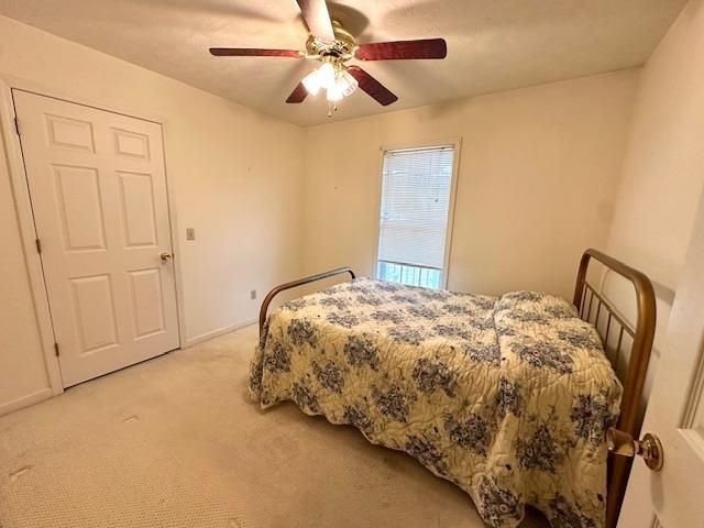 20 TREE CANOPY CV, Savannah, TN 38372