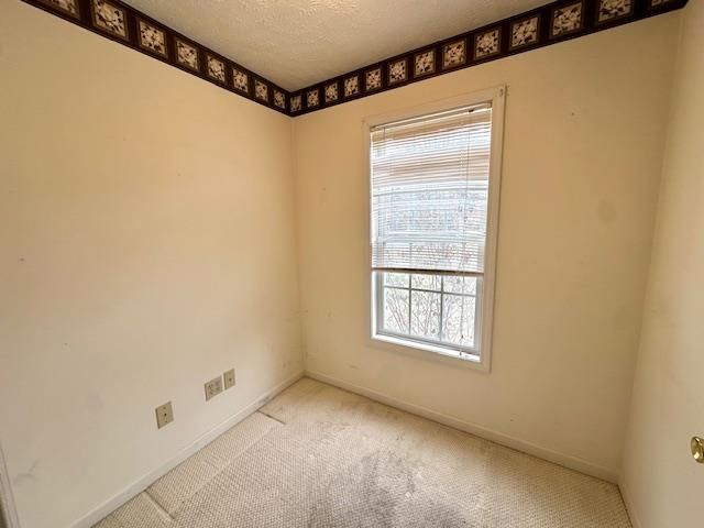 20 TREE CANOPY CV, Savannah, TN 38372