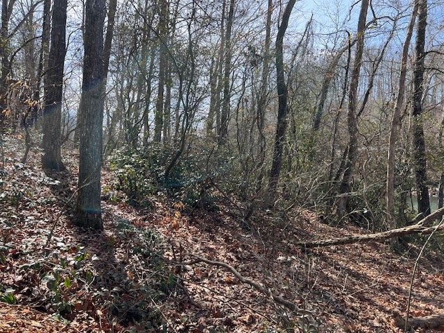 00 Old Hwy 64e, Hayesville, NC 28904