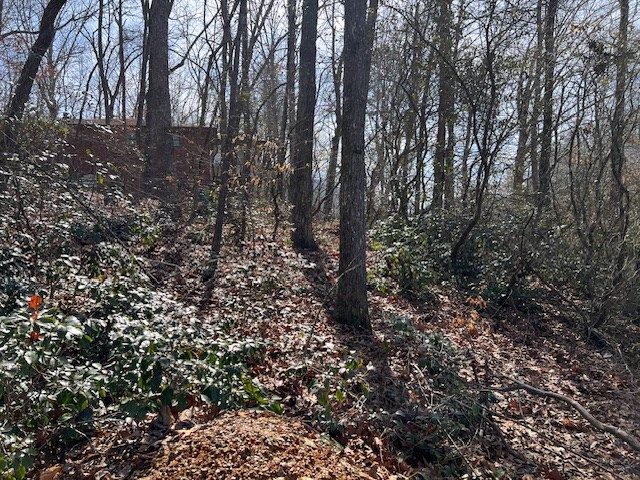 00 Old Hwy 64e, Hayesville, NC 28904