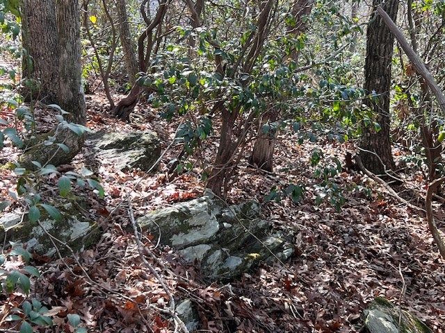 00 Old Hwy 64e, Hayesville, NC 28904